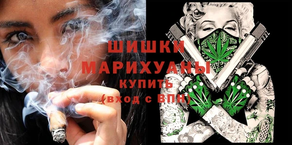 гидра Киренск