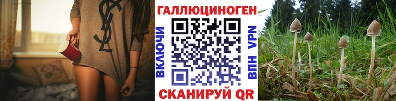 Купить где  Курганинск  Галлюциногенные грибы Magic Shrooms 