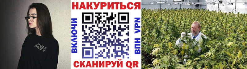 Конопля THC 21%  Купить где  Курганинск 
